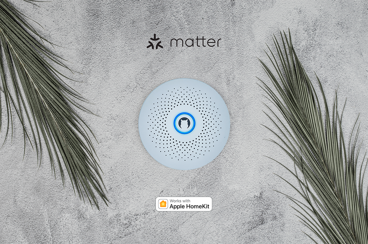 Owl devices to support Matter IoT protocol