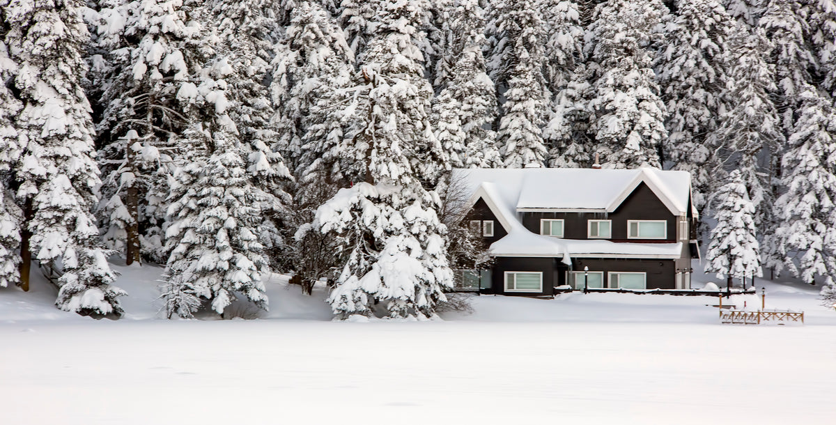 Winter-proof your home: How Owl keeps you safe, cozy, and energy-smart all season long