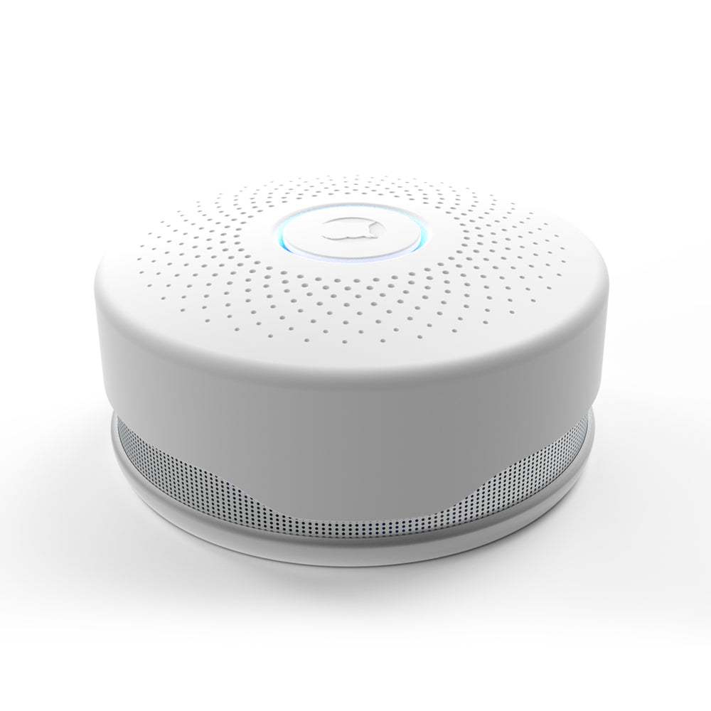 Owl Wired Smoke & CO Alarm